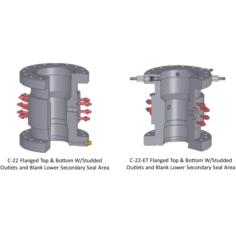 Sentry Wellhead Systems