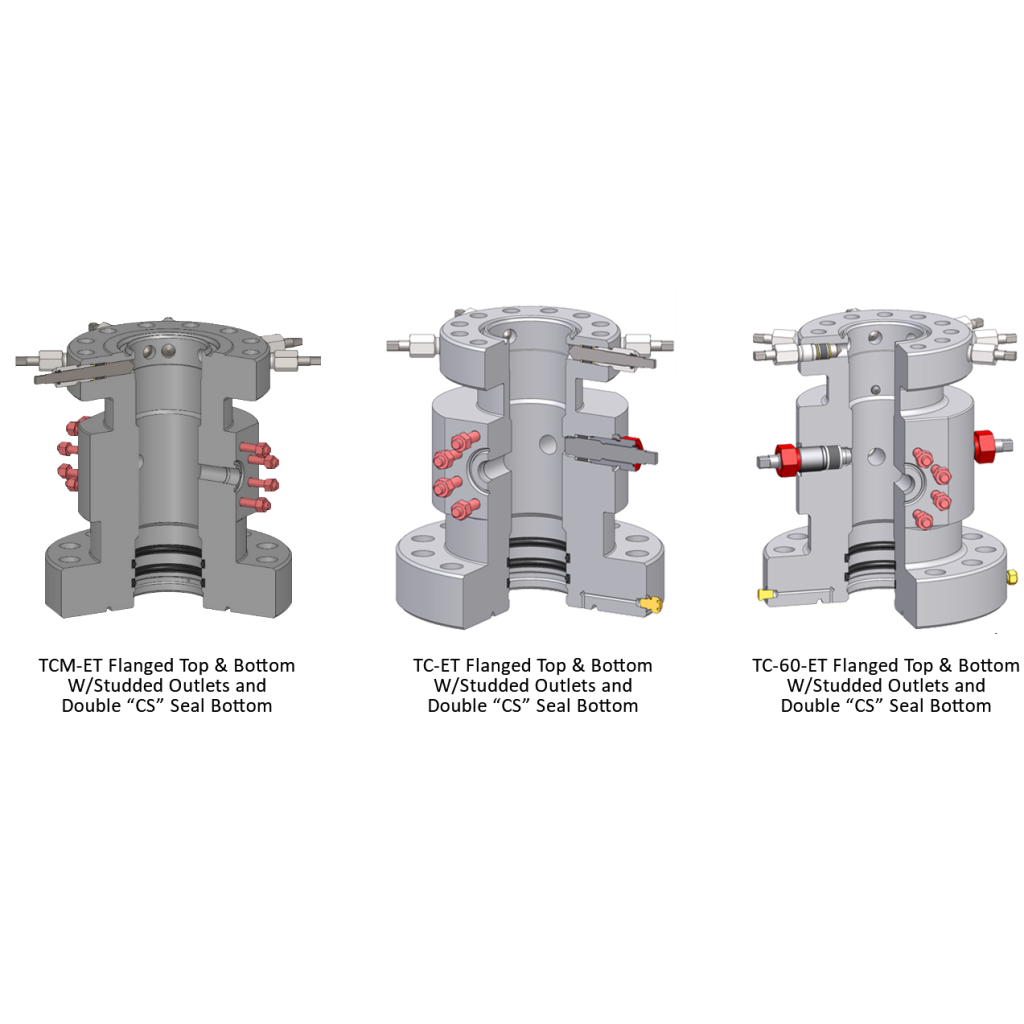 Sentry Wellhead Systems